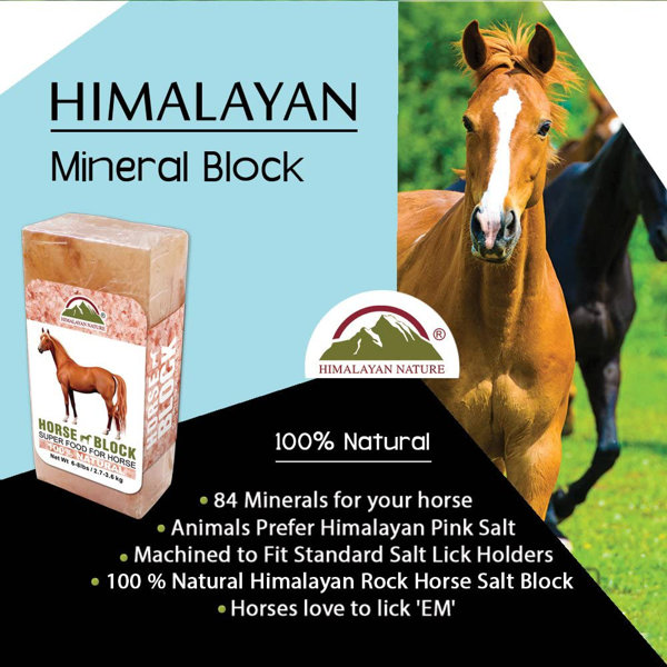 Himalayan Nature 100 Natural Himalayan Rock Salt Block, Horses & Deer 5 LBS Wayfair